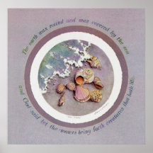 SEA SHELLS by SHARON SHARPE Posters