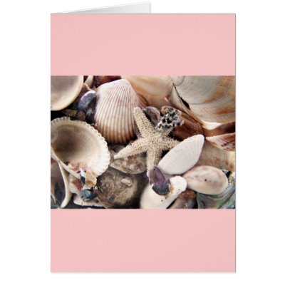 Sea Shells by the Shore Cards