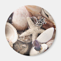 Sea Shells by the Shore Magnets