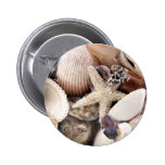 Sea Shells by the Shore Pinback Button