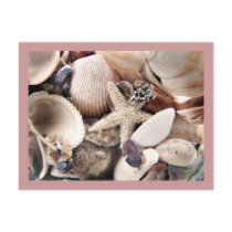 Sea Shells by the Shore postcards