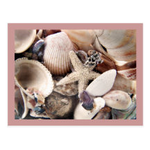 Sea Shells by the Shore Postcards