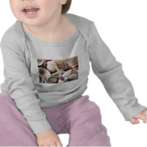 Sea Shells by the Shore t-shirts by deegolden Sea Shells by the Shore t-shirts