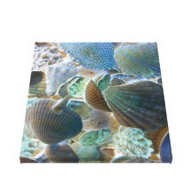 Sea Shells Canvas Stretched Canvas Prints