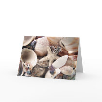 Sea Shells cards by deegolden Sea Shells cards