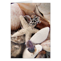 Sea Shells cards by deegolden Sea Shells cards