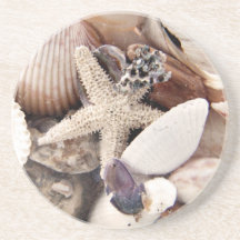 Sea Shells Drink Coasters