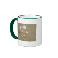 Sea Shells in the Sand Mug mug