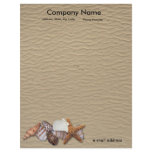 Sea Shells Letterhead