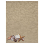 Sea shells personalized letterhead