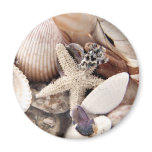 Sea Shells magnets