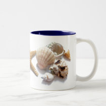 Sea Shells mugs