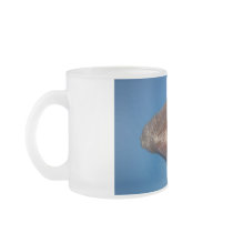 Sea Shells Mugs