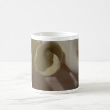 SEA SHELLS MUG