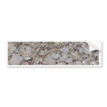Sea shells Of sanibel bumper stickers by Debrene Sea shells Of sanibel bumper stickers