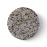 Sea shells Of sanibel