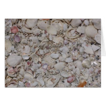 Sea shells Of sanibel cards by Debrene Sea shells Of sanibel cards