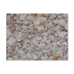 Sea shells Of sanibel