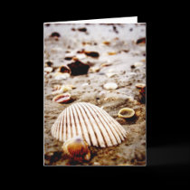Sea Shells on Krabi Beach  Card cards