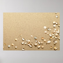 Sea Shells On Sand Poster
