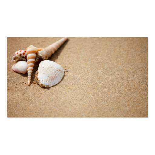 Sea shells on the beach business cards (front side)