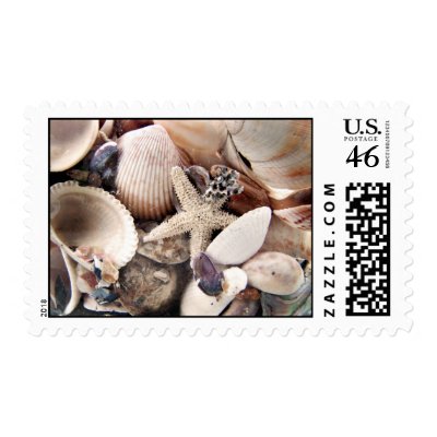 Sea Shells Postage