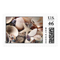 Sea Shells Postage Stamps