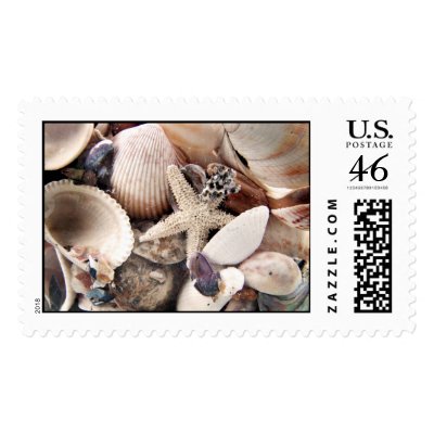 Sea Shells Postage Stamps by deegolden
