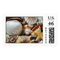 sea shells postage by girl374329 sea shells postage