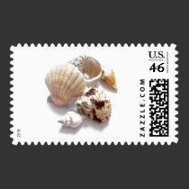 Sea Shells postage