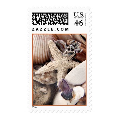 Sea Shells Stamp by deegolden