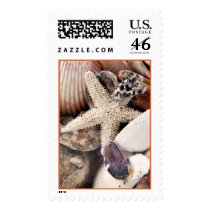 Sea Shells postage by deegolden Sea Shells postage