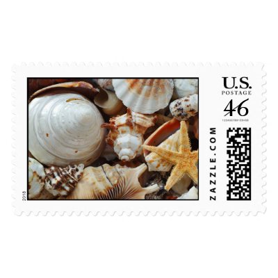 sea shells postage stamp
