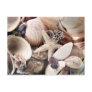 Sea Shells Postcard