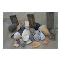 Sea Shells posters