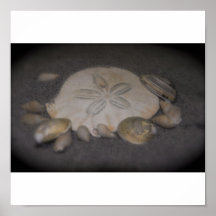 Sea shells print