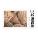 Sea Shells Stamp