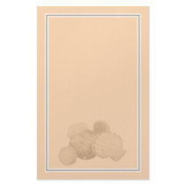 Sea Shells Stationary stationery