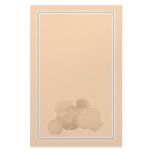 Sea Shells Stationary Stationery Paper