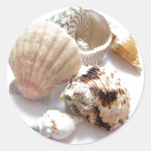 Sea Shells Stickers