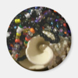 Sea Shells & Stones Magnets