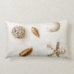sea shells toss pillow
