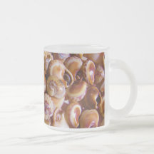Sea Snail Shells Cyclops Nassa Cyclope Pellucidus Coffee Mugs