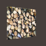 Sea Snails At Low Tide Stretched Canvas Print canvas prints