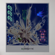 sea spider print