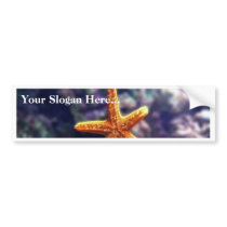 Sea Star In Aquarium Bumper Sticker