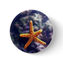 Sea Star In Aquarium Pinback Button