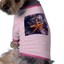 Sea Star In Aquarium pet clothing by lifesphere Sea Star In Aquarium pet clothing