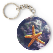 Sea Star In Aquarium Key Chains