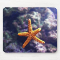 Sea Star In Aquarium Mouse Pads